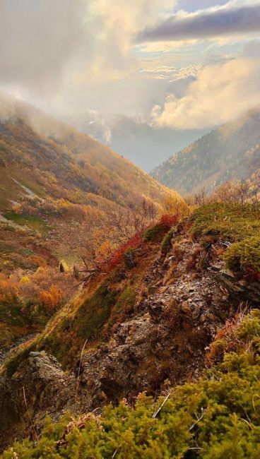 Осенний Бзерпинский карниз 🍁  📸 ..