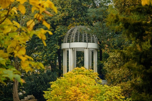 🍂 Осенняя атмосфера в «Городском саду»  Краснодара.  Вот и подкралась незаметно золотая осень. Ещё..