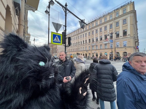 Кот Бегемот уже прибыл в Петербург. Прогулялся по Невскому и окрестностям, пообщался с местным..