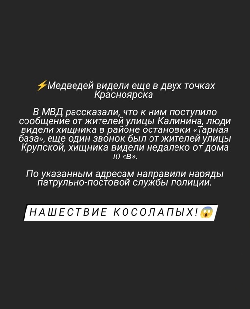 ❗️Еще двух медведей заметили в Красноярске  По данным ЕДДС, медведицу с медвежонком видели сначала на ул...