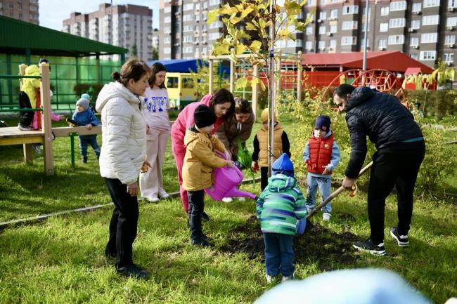 В школе и детских садах «Вересаево» (https://vk.com/mkrveresaevo) высадили платановые аллеи🍁  В рамках общегородского..