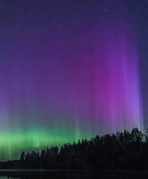 ✨Северное сияние посетило Ленобласть  На фотографиях вчерашнее северное сияние. Оно продолжается и сейчас,..