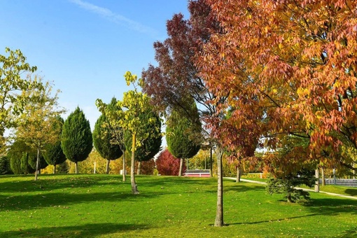 Золотая осень в парке Галицкого 🍂🍁  фото..