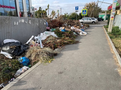 Здравствуйте, хочу осветить проблему вывоза мусора на улице Карасунская 310. 
Масштабные кучи мусора длиною..