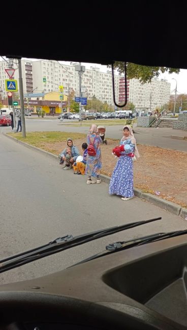 Люблино, Тихорецкий бульвар д.1А Вот уже как полгода банда детей попрошаек с детьми на руках орудует на..