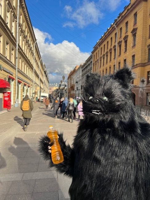 Кот Бегемот уже прибыл в Петербург. Прогулялся по Невскому и окрестностям, пообщался с местным..