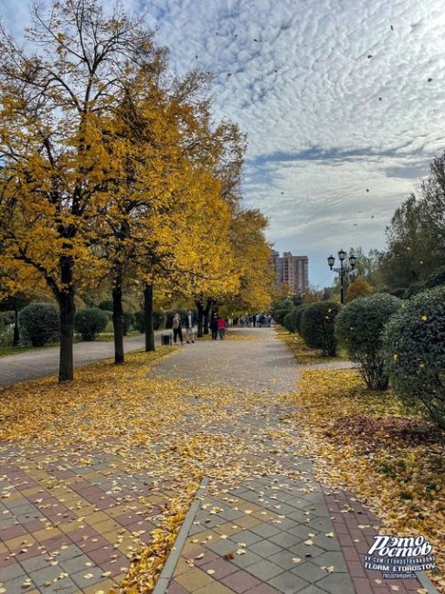 💛🍂 Осень на..