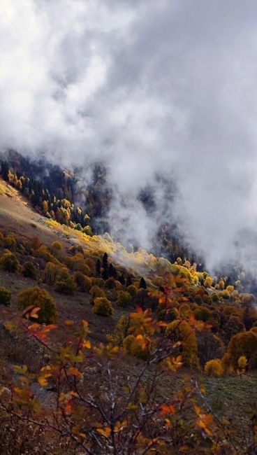 Осенний Бзерпинский карниз 🍁  📸 ..