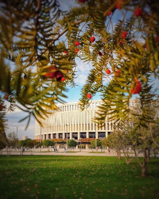 Осенний парк Краснодар определенно стоит посетить 😍  Фото:..