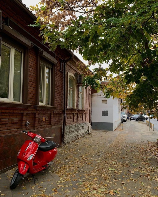 Краснодар в статусе «облачно, немного свежо, но всё равно не холодно» ✌️  Фото petit...