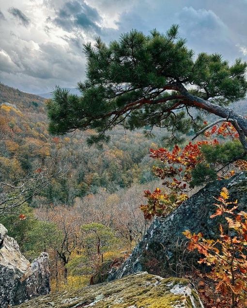 Планческие скалы🍁  Пожалуй, одно из лучших мест для прогулки недалеко от Краснодара) Приезжаю сюда уже 4-ый..