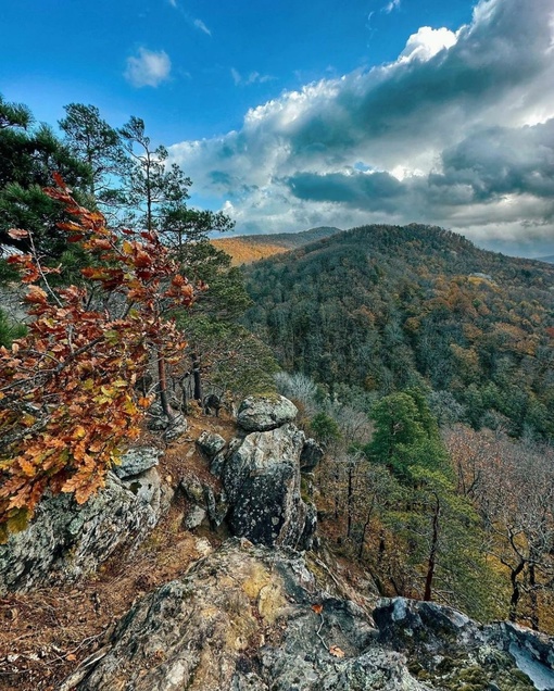 Планческие скалы🍁  Пожалуй, одно из лучших мест для прогулки недалеко от Краснодара) Приезжаю сюда уже 4-ый..