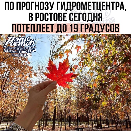 🌤️ По прогнозу гидрометцентра, сегодня температура в Ростове может подняться до 19 градусов, а по области..