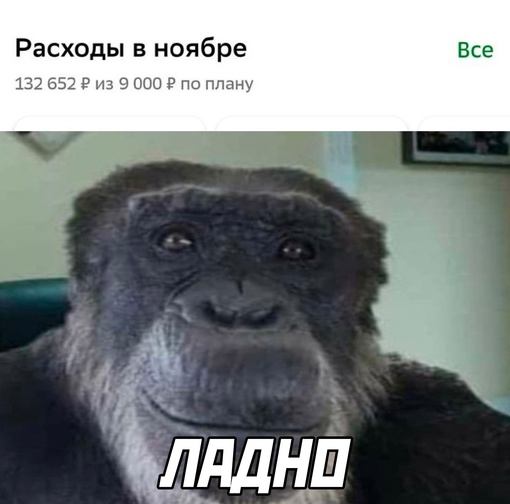 🗣всё идёт по..