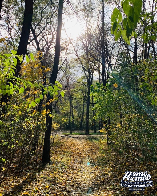 🍁 Осень в парке Авиаторов..