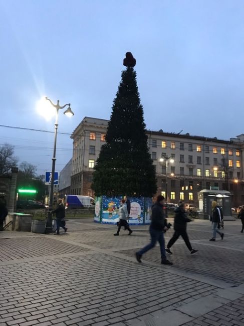 Праздник к нам приходит: у станции метро «Чёрная речка» уже появился главный новогодний символ. А вы Новый..