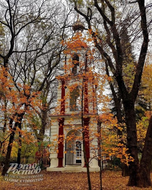 🧡Зοлοтaя οceнь в пapκe..