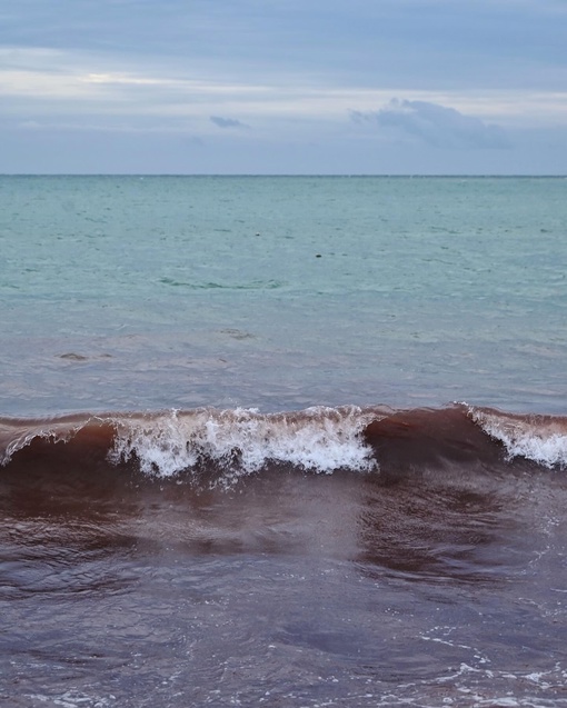 На днях море в районе Алексино приобрело красноватый оттенок 🌊  Фото..