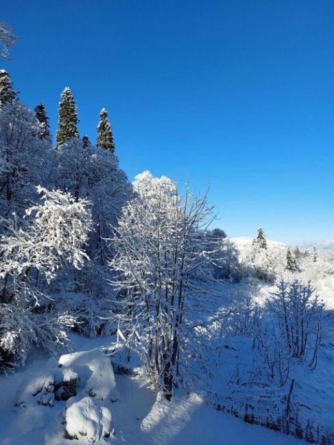 ☃️Лаго-Наки в белом и пушистом наряде. ❄️  Фото:..