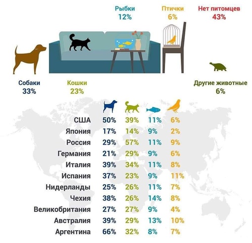 🐈 🦮 Согласно опросу владельцев домашних животных, в России кошки почти вдвое популярнее собак.  Собак в..