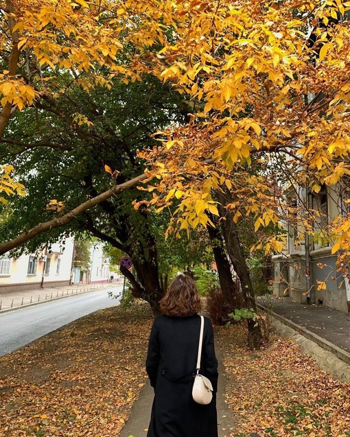 Краснодар в статусе «облачно, немного свежо, но всё равно не холодно» ✌️  Фото petit...