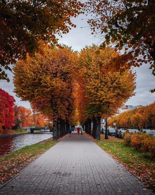 Доброе утро, Питер💙  Отличных вам..