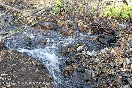 В Щепкинском лесу местные заметили пену и муть в местном водоёме.  "С недавнего времени для очистки..