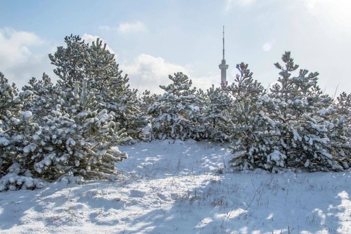 Под Новороссом уже буквальная зимняя сказка! Как же красиво 😍  фото..