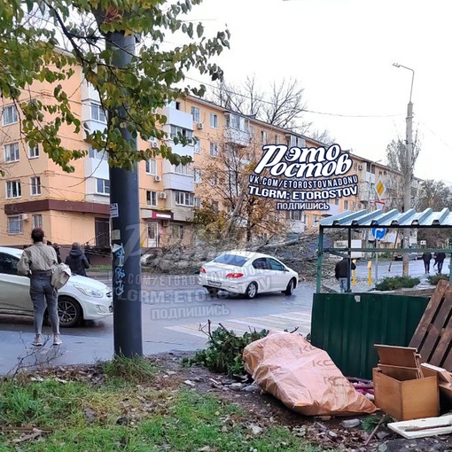 ⚠🌳 На Ленина, 90/1, на машину упал тополь, зацепив за собой провода. Перекрыто две..