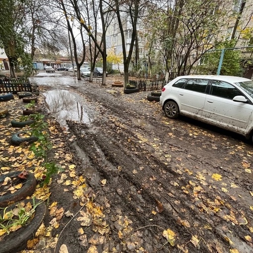 Ростовские пейзажи теперь другие  Даже хочется никуда не выходить..