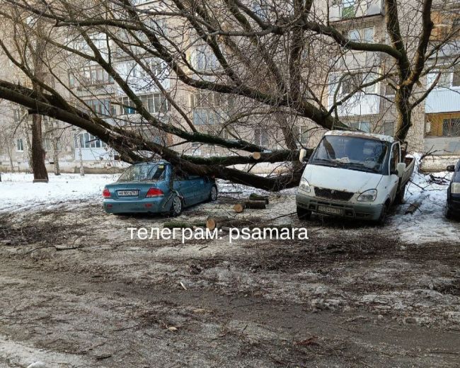 Опубликованы кадры последствий падения огромного дерева в Промышленном районе Самары  Владельцы..