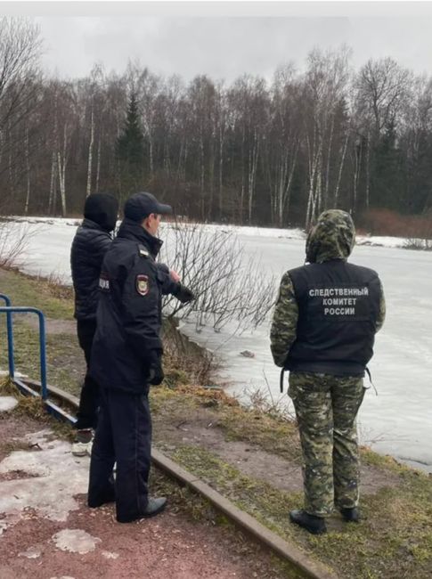 Мать бросила новорожденную девочку в Отдельном парке Пушкина  Ребенка, завернутого в пальто, нашел..