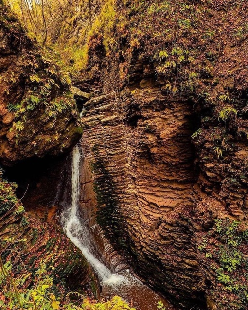 Осенний лес и водопады Руфабго 🍃  📷..