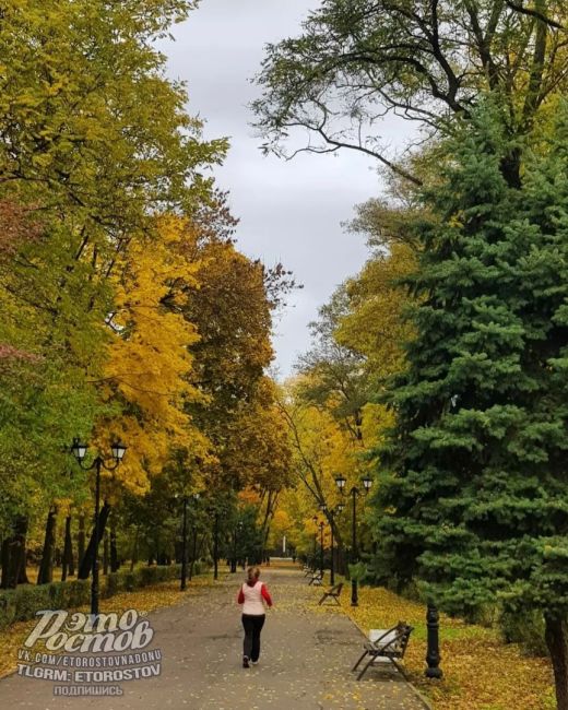 🧡Зοлοтaя οceнь в пapκe..