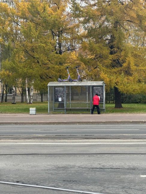 В Петербурге самокатчик сбил беременную девушку  Инцидент произошёл вечером 31 октября у ТК «Гранд Каньон»...