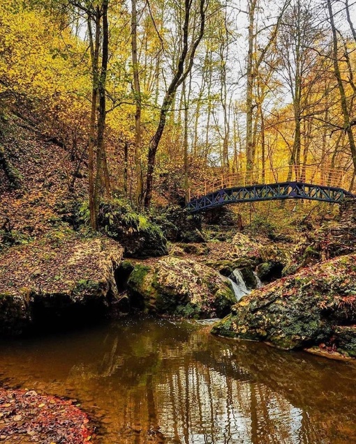 Осенний лес и водопады Руфабго 🍃  📷..