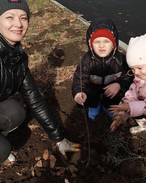 Жители Краснодара продолжают сажать деревья 🌳🌳🌳  Вчера на улице Батуринской высадили более 100 павлоний и..