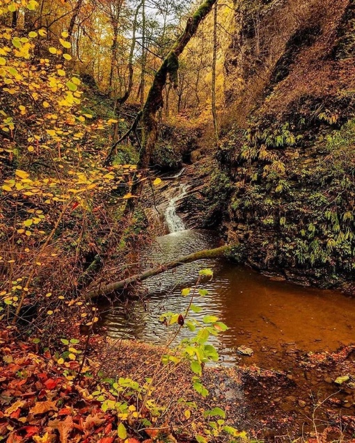 Осенний лес и водопады Руфабго 🍃  📷..