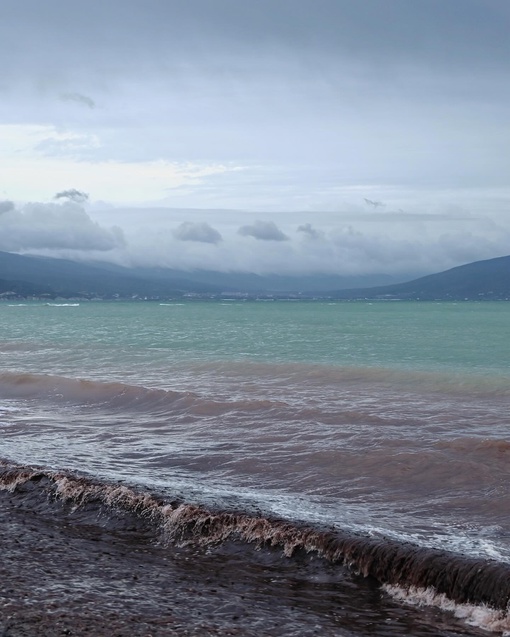 На днях море в районе Алексино приобрело красноватый оттенок 🌊  Фото..