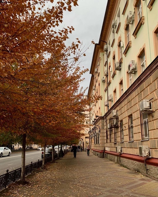 Краснодар в статусе «облачно, немного свежо, но всё равно не холодно» ✌️  Фото petit...