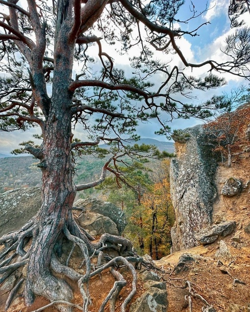 Планческие скалы🍁  Пожалуй, одно из лучших мест для прогулки недалеко от Краснодара) Приезжаю сюда уже 4-ый..