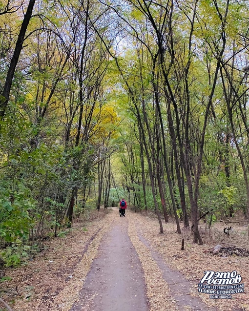 Золотая осень в Aлександровке..