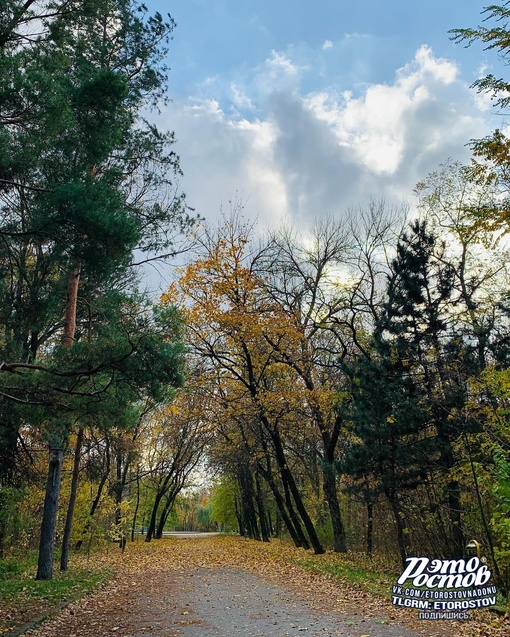 🍁 Осень в парке Авиаторов..