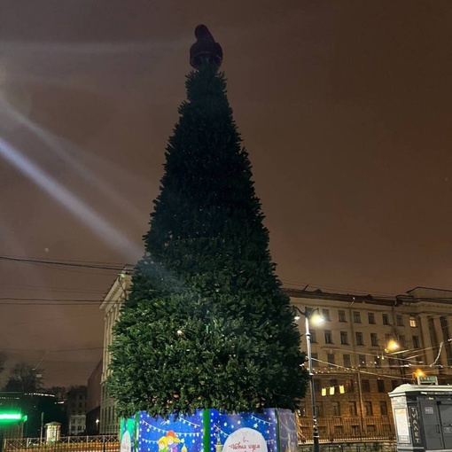 🌲У метро «Чёрная речка» появилась новогодняя..