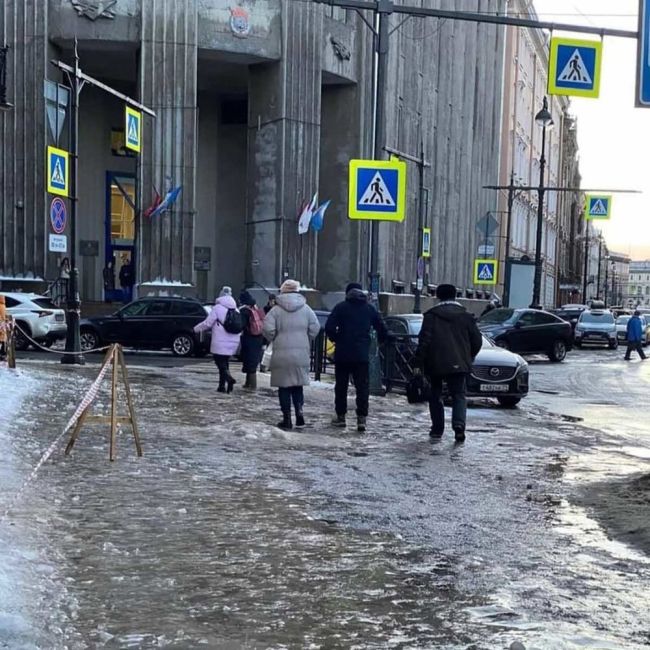 Первые петербуржцы накануне пали жертвами наступления традиционно нежданной стихии — заморозков и..