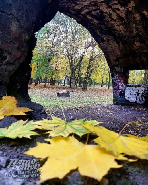 🧡Зοлοтaя οceнь в пapκe..