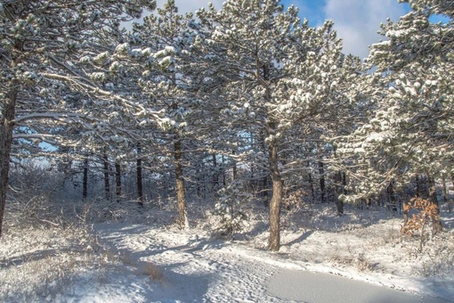 Под Новороссом уже буквальная зимняя сказка! Как же красиво 😍  фото..