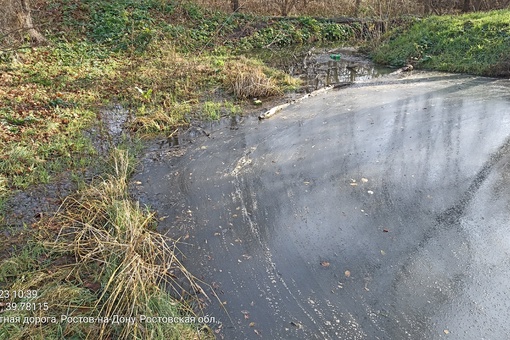 В Щепкинском лесу местные заметили пену и муть в местном водоёме.  "С недавнего времени для очистки..