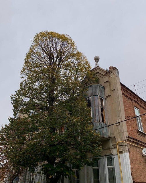 Краснодар в статусе «облачно, немного свежо, но всё равно не холодно» ✌️  Фото petit...