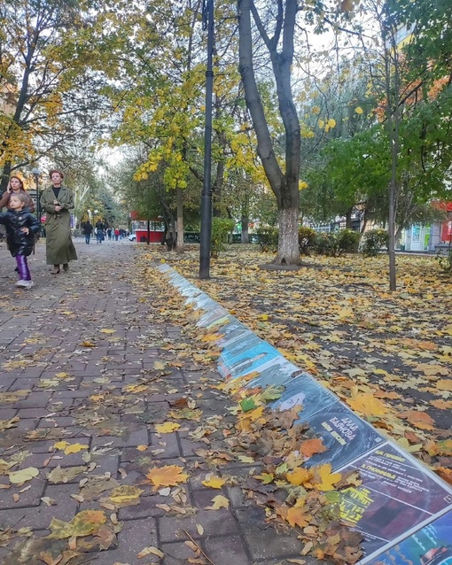 🍃 Осенние зарисовки 
Фото:..